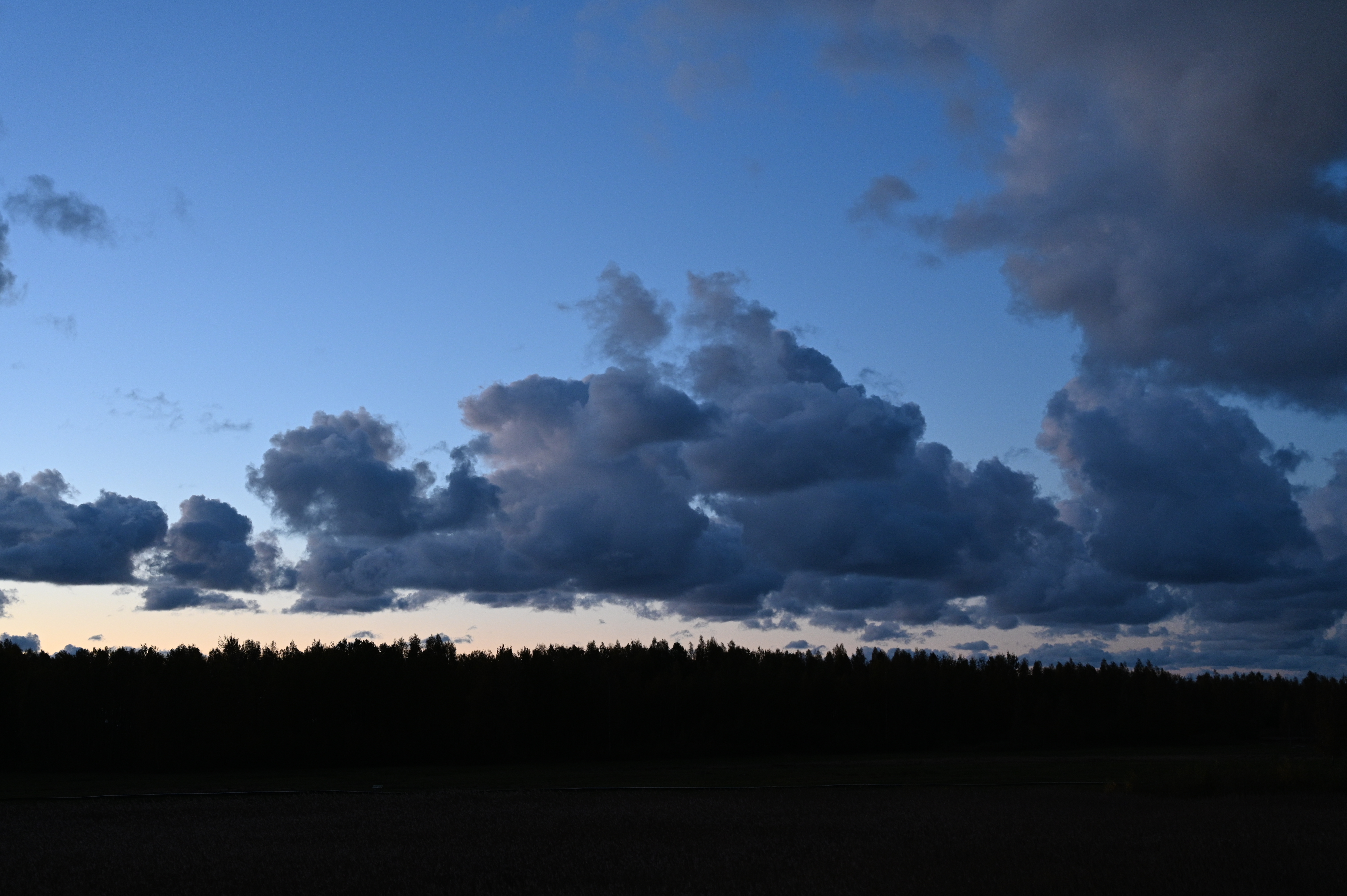 2025/10/18 - walk/DSC_0628.JPG